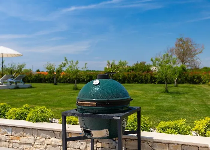 Petrush By Guide 발