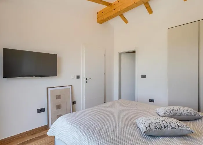 Petrush By Guide * 발