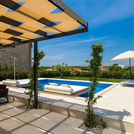 Petrush By Guide Bale